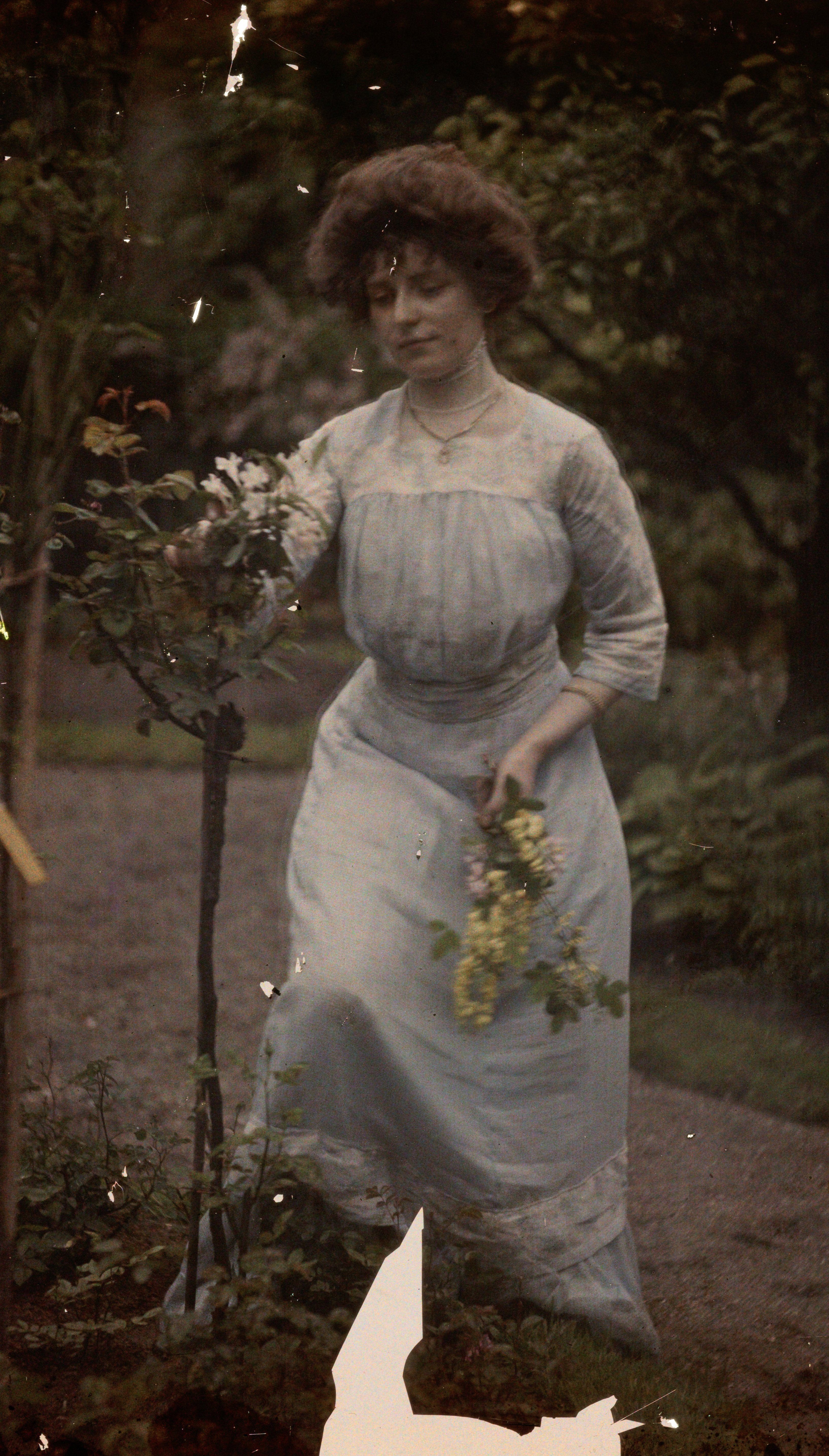 Vrouw in tuin, Johannes Hendrikus Antonius Maria Lutz, 1907 - 1916 | src Rijksmuseum