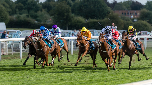 Speedy types racing for the five furlong Roses Stakes