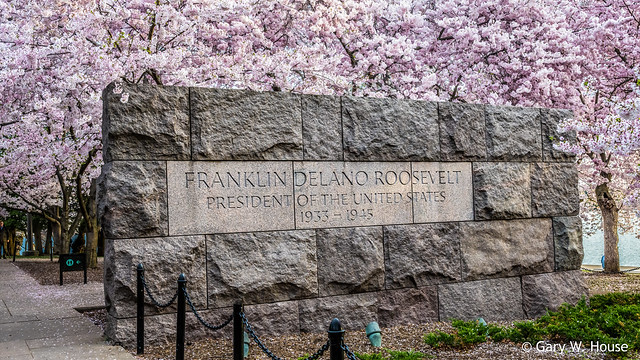 Cherry Blossoms  - FDR Memorial