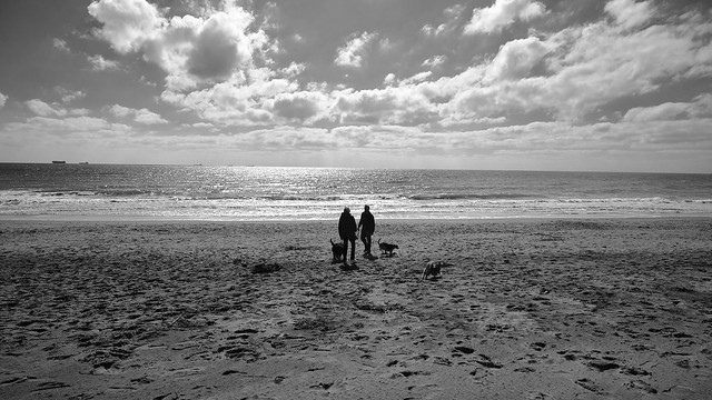 Beach walkers