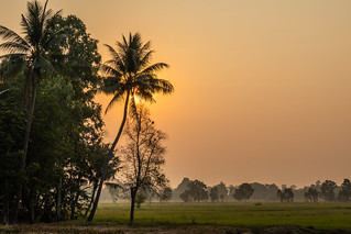 Smoky Sunrise behind coconut tree 7