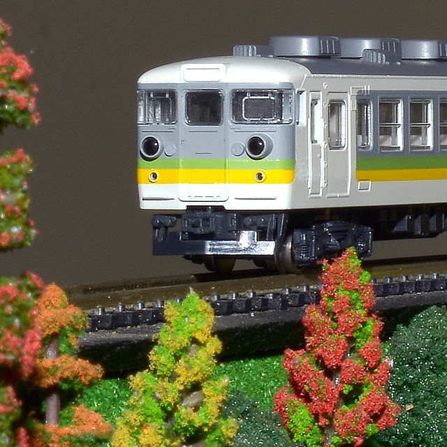 Kato N Scale ~ JR East 165 Series 'Moonlight' Express EMU (7)
