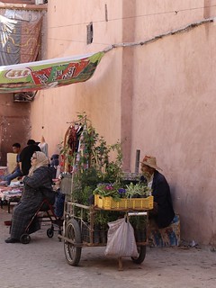 marrakech - spring 2023