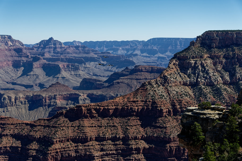 Treating Myself to Another of Nature's Amazing Outposts in Grand Canyon National Park