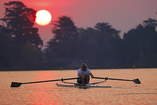 Sculler and Sun