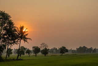 Smoky Sunrise behind coconut tree 3