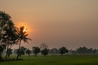 Smoky Sunrise behind coconut tree 2
