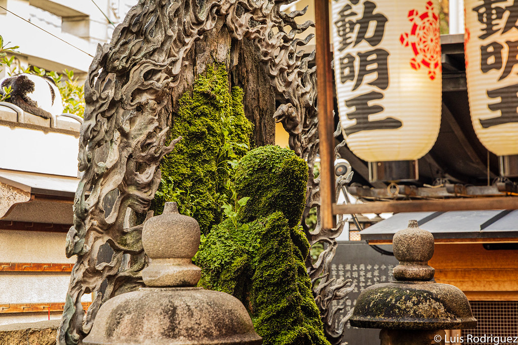 La curiosa estatua de Fudo-Myoo del templo Hozenji, cubierta de musgo