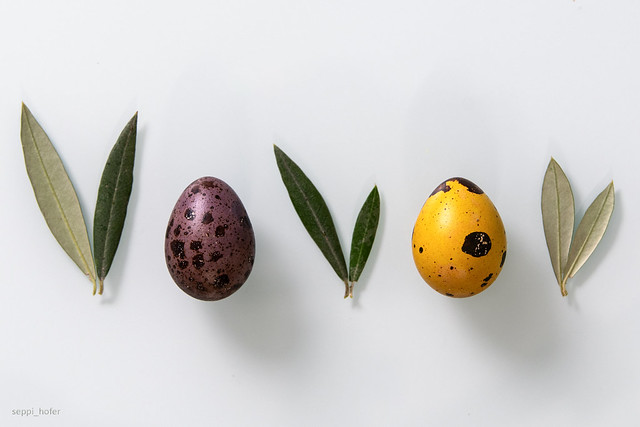 quail eggs & olive leaves_02