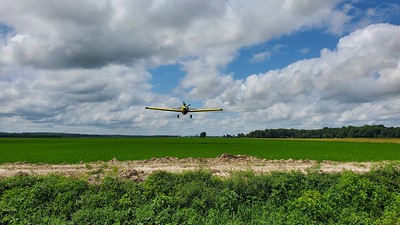 A yellow crop duster flies away from the viewer low over a field of green with blue skies and clouds in the distance. 