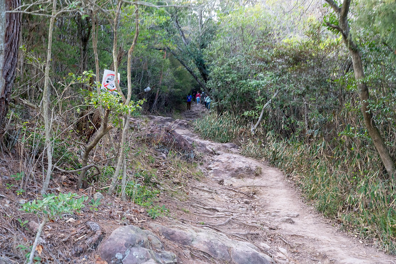 高屋神社の登山道