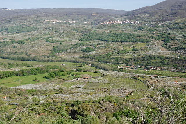 La espectacular floración de los cerezos en el Valle del Jerte (Cáceres). - Recorriendo Extremadura. Mis rutas por Cáceres y Badajoz (37)