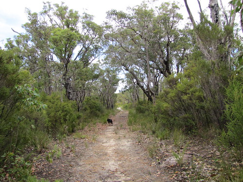 Woolbales Loop Walk - d'Entrecasteaux National Park, South Coast, Western Australia