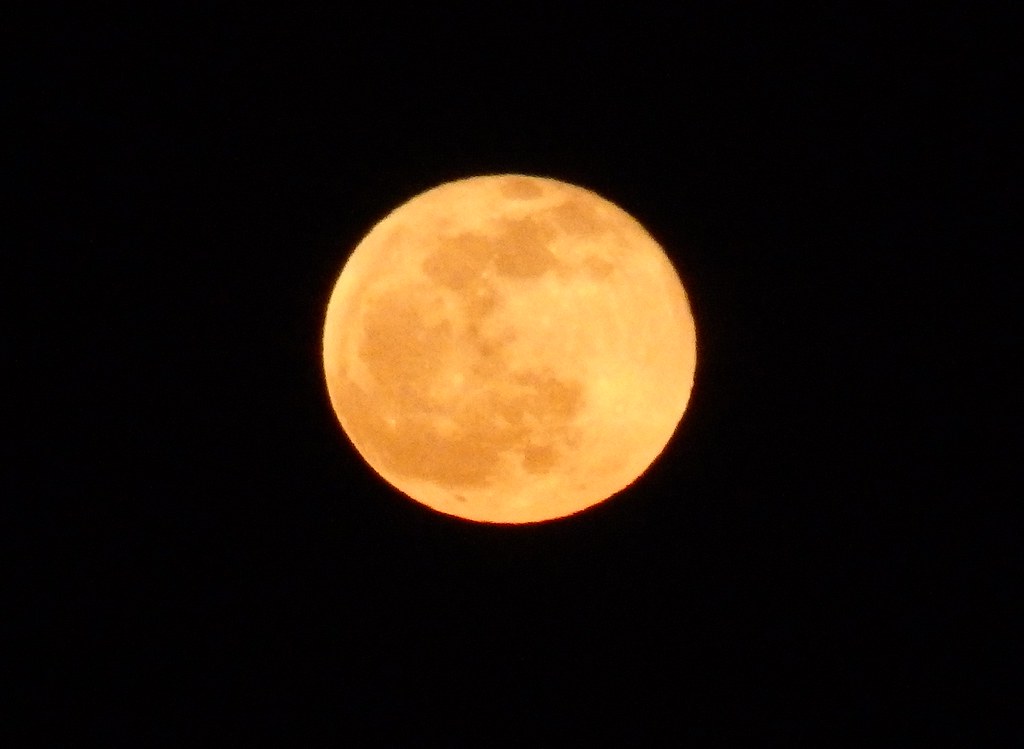 Luna Llena, bien redonda y amarilla se ve hoy 06/04/2023