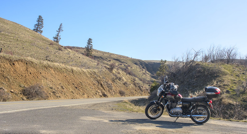 Triumph Bonneville on Washington State Route 10
