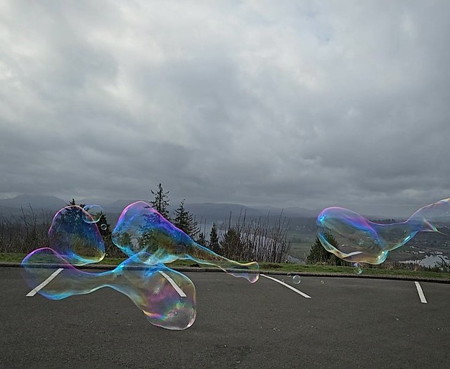 Bubbles, in the parking lot at the Astoria Column.