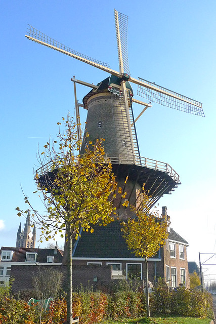 Nederland - Delft, De Roos