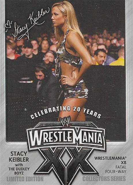 Set 2 Stacy Keibler with The Dudley Boyz in Fatal Four-Way (WrestleMania X8)