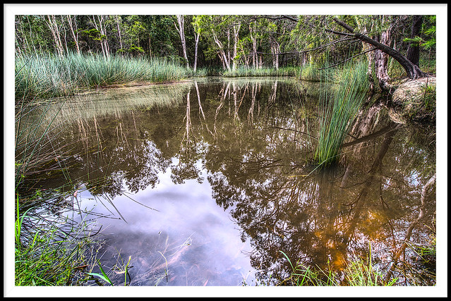 Brisbane forest waterhole HDR