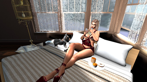 SWANK EVENT - APRIL 2023 | by roselenna rishmal