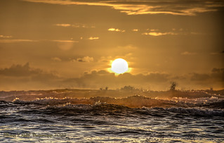 Hawaiian Sun Waves