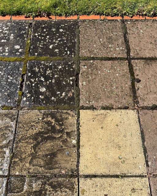 A photo of some square paving slabs. The ones on the left are black, or mottled with black. The ones on the right are lighter and sort of clean looking.