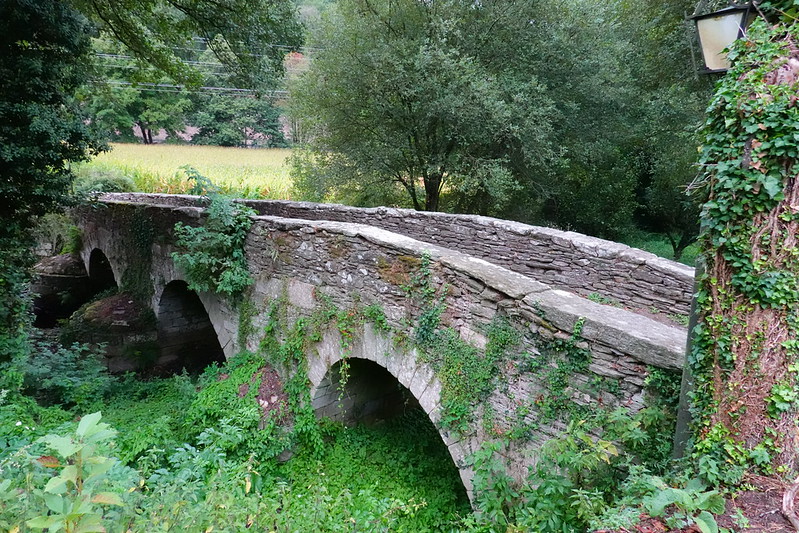 De Sarria a Portomarín (Etapa 1 de nuestro Camino). - Camino de Santiago Francés: 115 kilómetros finales desde Sarria (Lugo). (2)