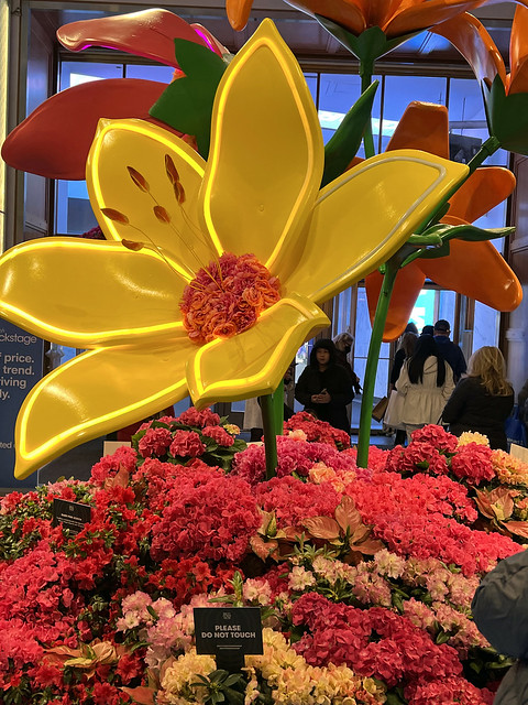 You Know Spring Is Here As The 2023 Macy's Flower Show Starts In Herald Square On Sunday March 26, 2023 And Runs Thru Monday April 10, 2023. Photo Taken Wednesday March 29, 2023