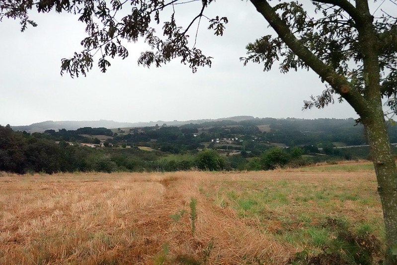 Camino de Santiago Francés: 115 kilómetros finales desde Sarria (Lugo). - Blogs de España - De Sarria a Portomarín (Etapa 1 de nuestro Camino). (11)