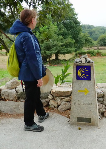 Camino de Santiago Francés: 115 kilómetros finales desde Sarria (Lugo). - Blogs de España - De Sarria a Portomarín (Etapa 1 de nuestro Camino). (22)