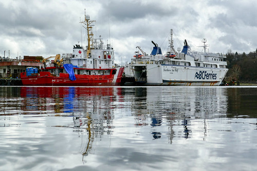 Northern Sea Wolf + Vector | by Ollie ferries