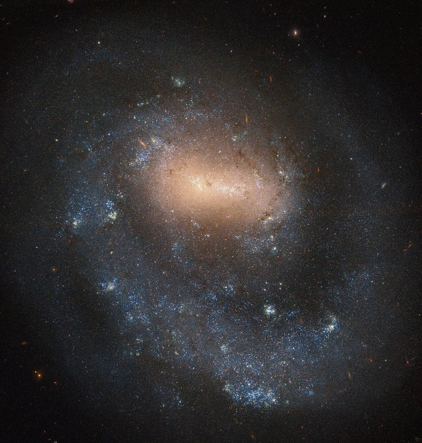 NGC 4618, az egykarú spirálgalaxis a Vadászebek csillagképben. Hubble Űrtávcsp felvétele (ESA, NASA)