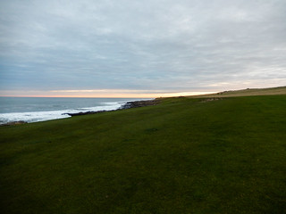 Sheepfield by the sea at sunset