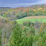 10-9-21, fall foliage I-86, 9 miles west of Hornell, NY near Almond, NY.