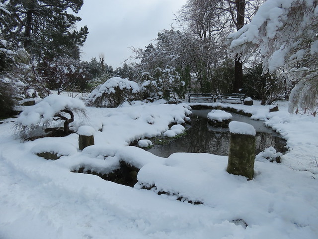 Sheffield’s Botanical Gardens In The Snow, March 2023