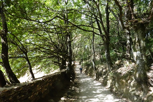 Camino de Santiago Francés: 115 kilómetros finales desde Sarria (Lugo). - Blogs de España - De Sarria a Portomarín (Etapa 1 de nuestro Camino). (29)