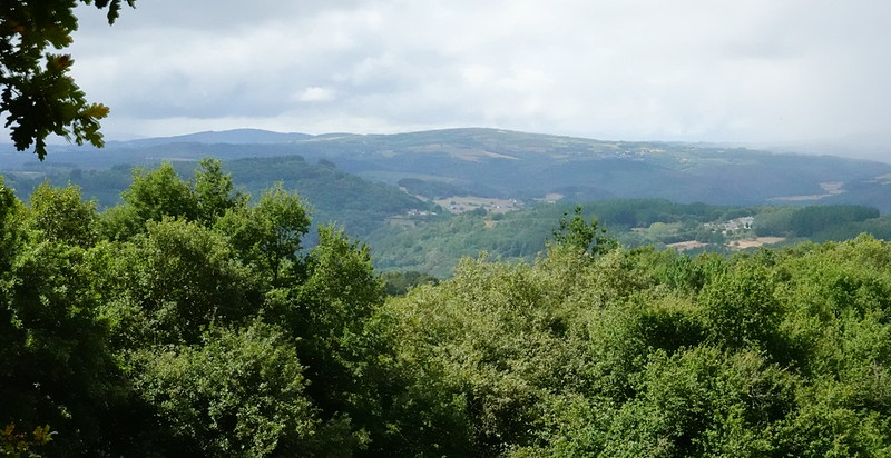 Camino de Santiago Francés: 115 kilómetros finales desde Sarria (Lugo). - Blogs de España - De Sarria a Portomarín (Etapa 1 de nuestro Camino). (33)