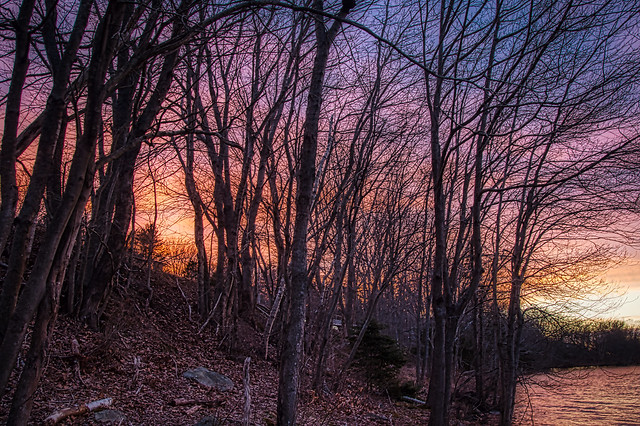 Sunset Clouds Through the Trees, Oathill Lake Dartmouth Nova Scotia