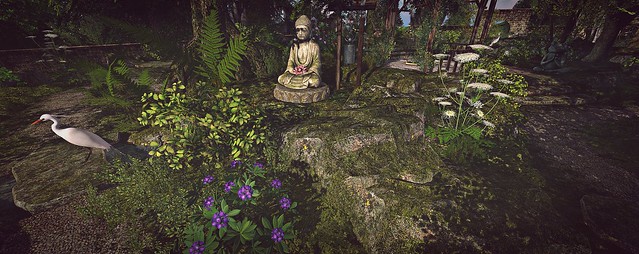 Lone Tree Yoga Studio & Meditation Garden