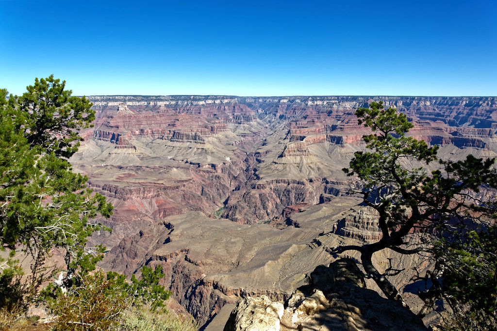 An Official Vacation Guide to Grand Canyon National Park!