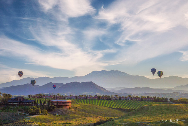 hot air balloons over temecula valley wine country