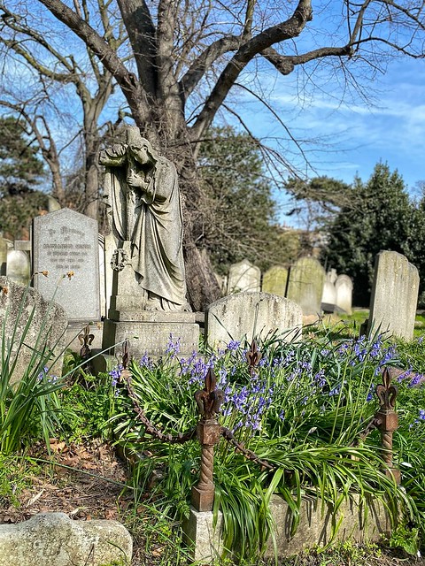 Walking through Brompton Cemetery