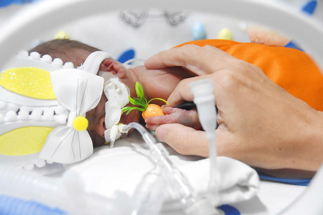 A primeira Páscoa dos bebês da UTI Neonatal do Hmib