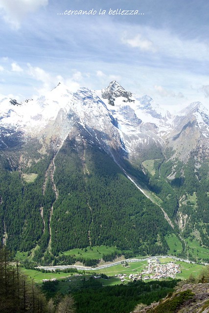 La GRIVOLA, versante Est, una delle più belle vette del Gruppo del Gran Paradiso. Gimillan località Arpisson, Val di Cogne, Val d’Aosta, ITALIA.