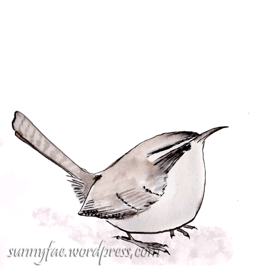 wren drawn with calligraphy pen