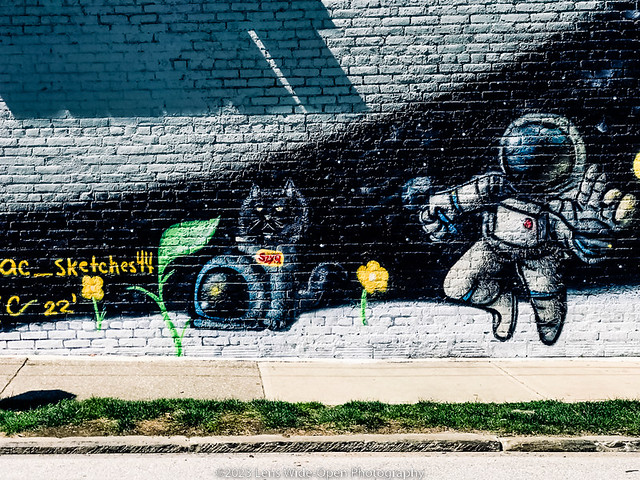 Cleveland Street Art