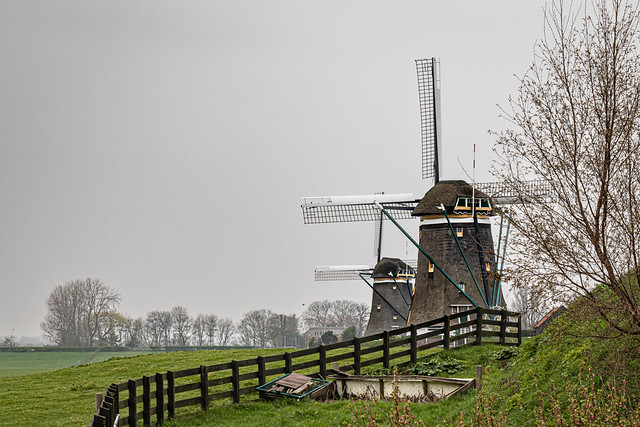 Windmills in the mist