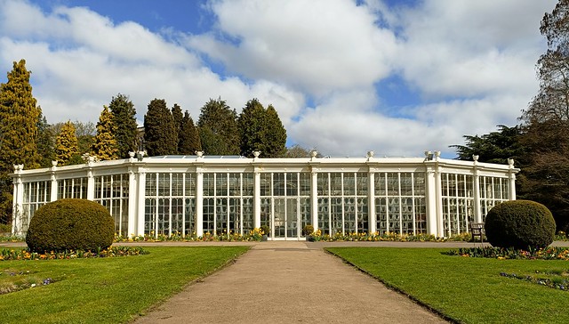 The Camellia House at Wollaton Park