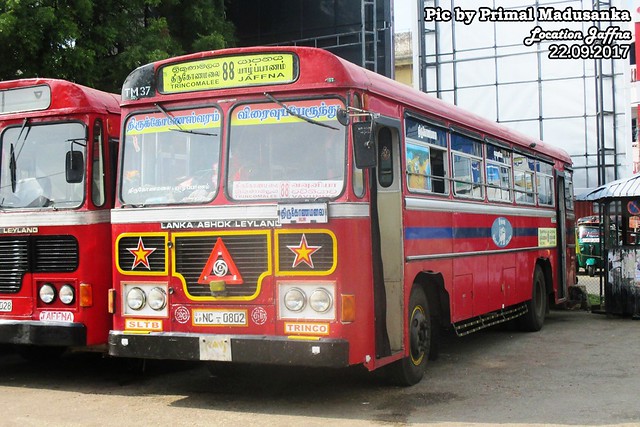 NC-0802 Trincomalee (TM) Depot Ashok Leyland - Viking 210 Turbo B+ type bus at Jaffna in 22.09.2017