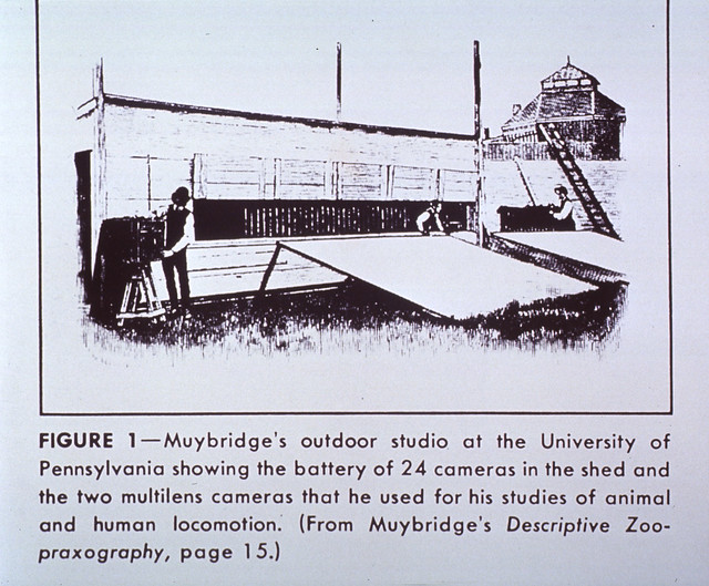 Muybridge's Outdoor Studio